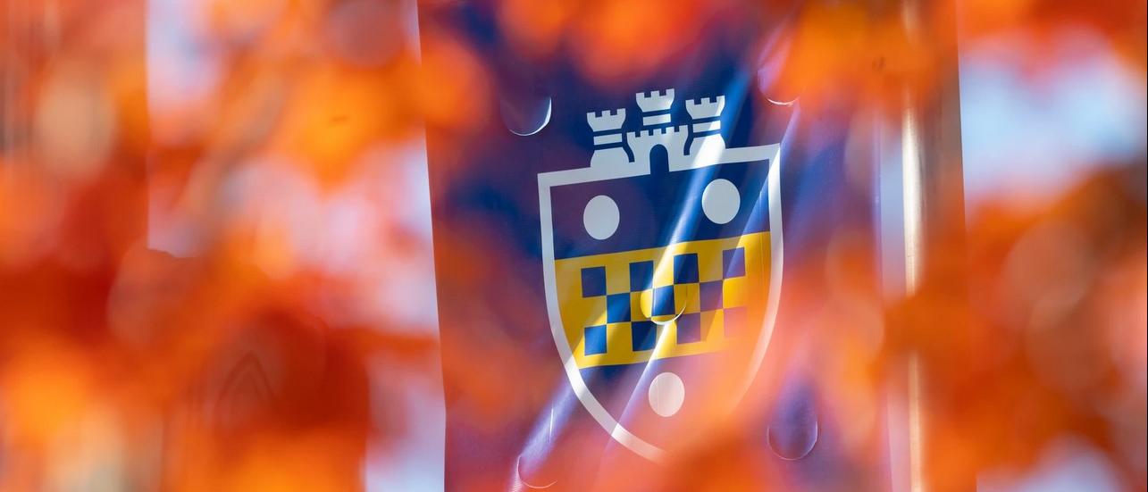 a banner flag with the university shield on a light pole is shrouded in orange fall foliage