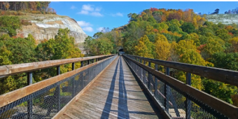 Bridge on the Great Allegheny Passage 