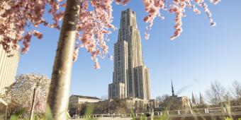 the cathedral of learning. a tree in the foreground is blooming with pink spring blossoms