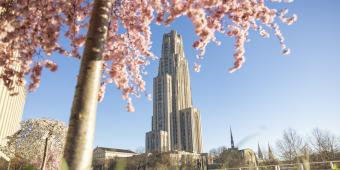 the cathedral of learning framed by a blooming pink tree in spring