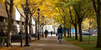 a person rides a bike down a sidewalk in oakland during fall