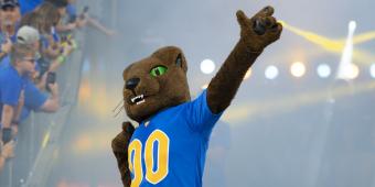 roc the panther at a football game