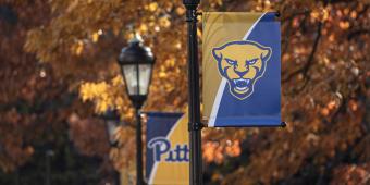 banners with the pitt panther and pitt logo on light poles on the pittsburgh campus. fall leaves on trees in background